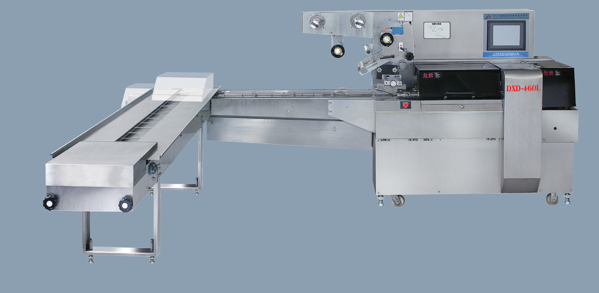 Pillow Biscuit Packing Machinery Without Tray (DXD-580)
