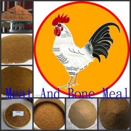 Meat Bone Meal 50% (best quality)