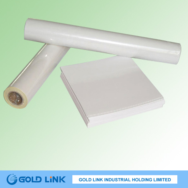 80g Adhesive Cast Coated Paper with Back Slitted