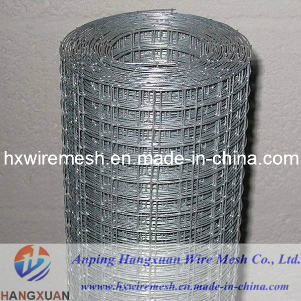 Welded Wire Mesh Panel (WWMP-04)