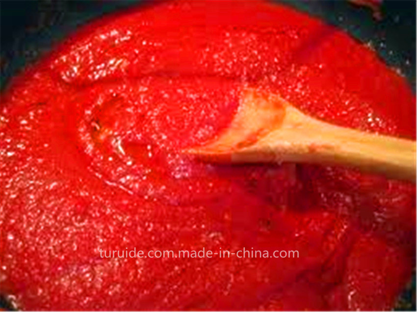 36-38% From China Tomato Paste Cold Break