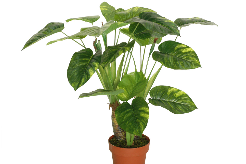 Indoor&Outdoor Decoration Artificial Plants