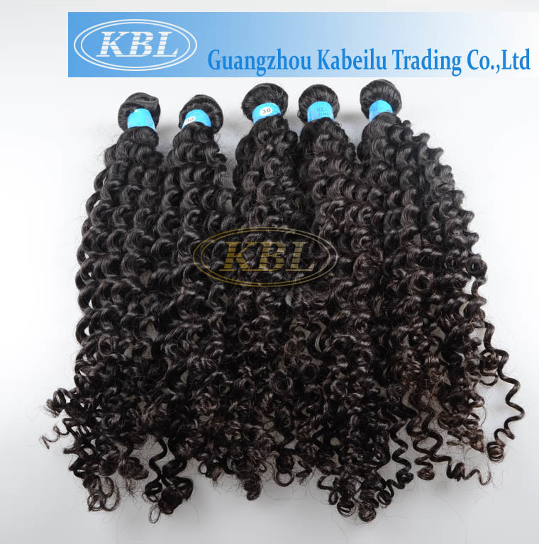 Virign Brazilian Hair Curly Hair Weaving (KBL-BH-CW)