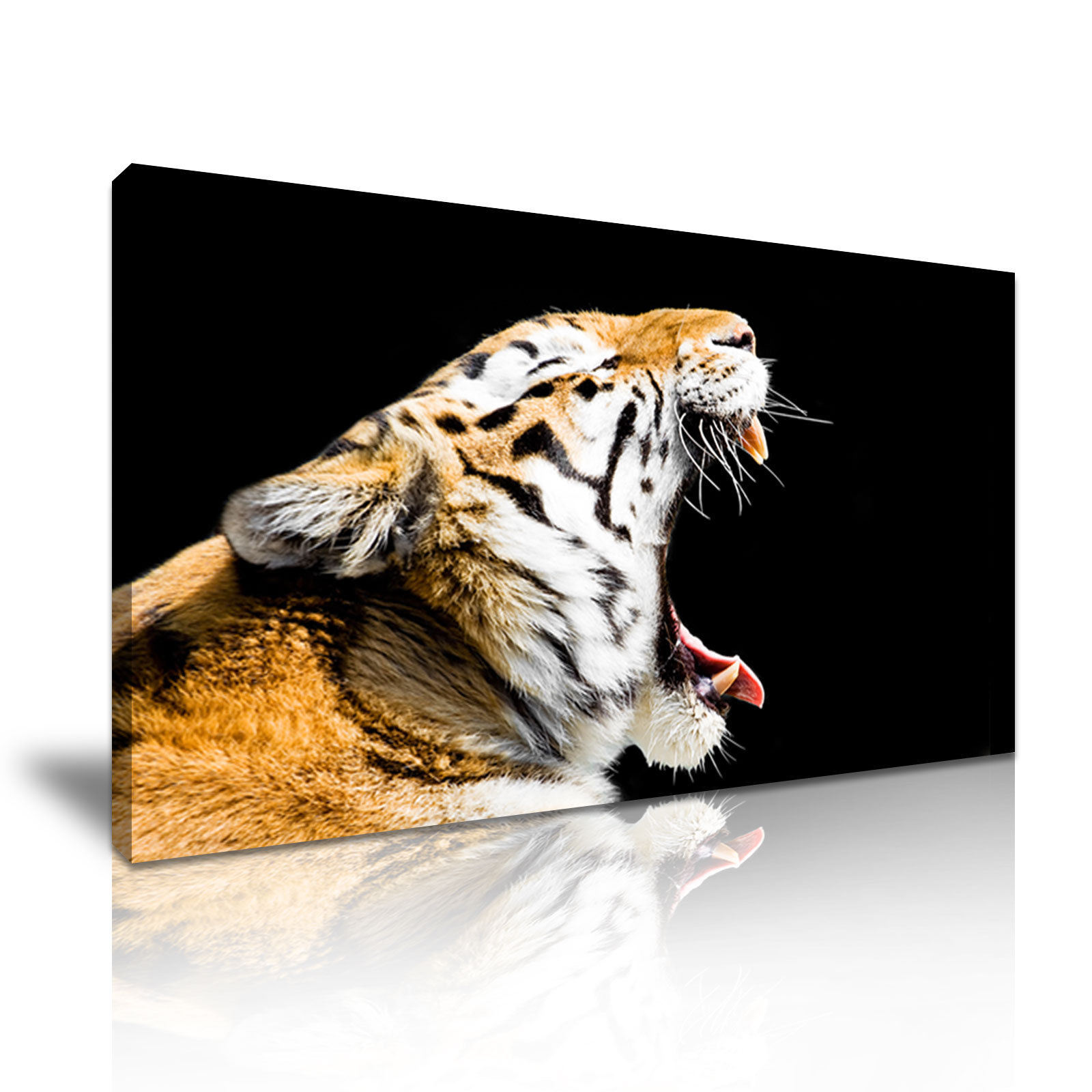 Open Mouth of The Tiger Canvas Painting for Decoration