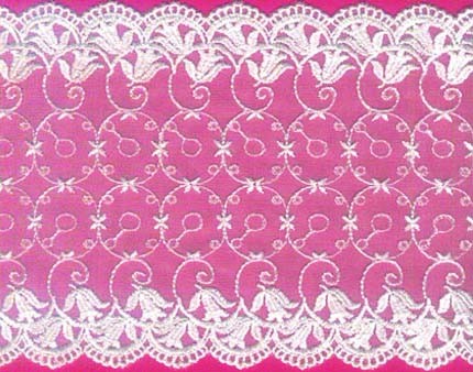 Mesh Embroidery Lace, Swiss Mesh Embroidery Lace (EMB69)