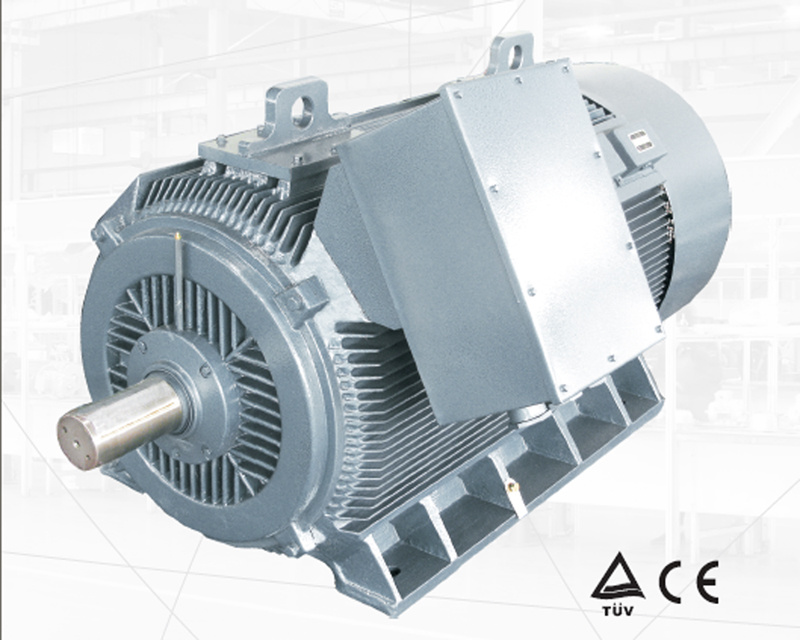 Low Voltage High Output Electric Motor 630kw-8