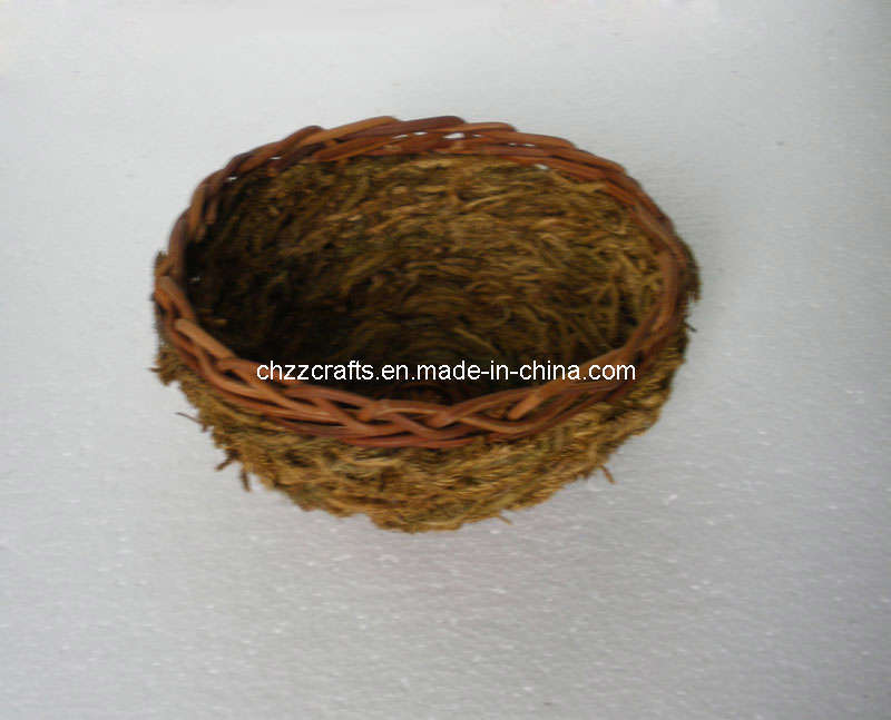 Plant Crafts (CHZZ-SC-03001)