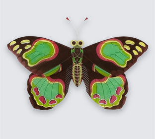 Butterfly Kite -10