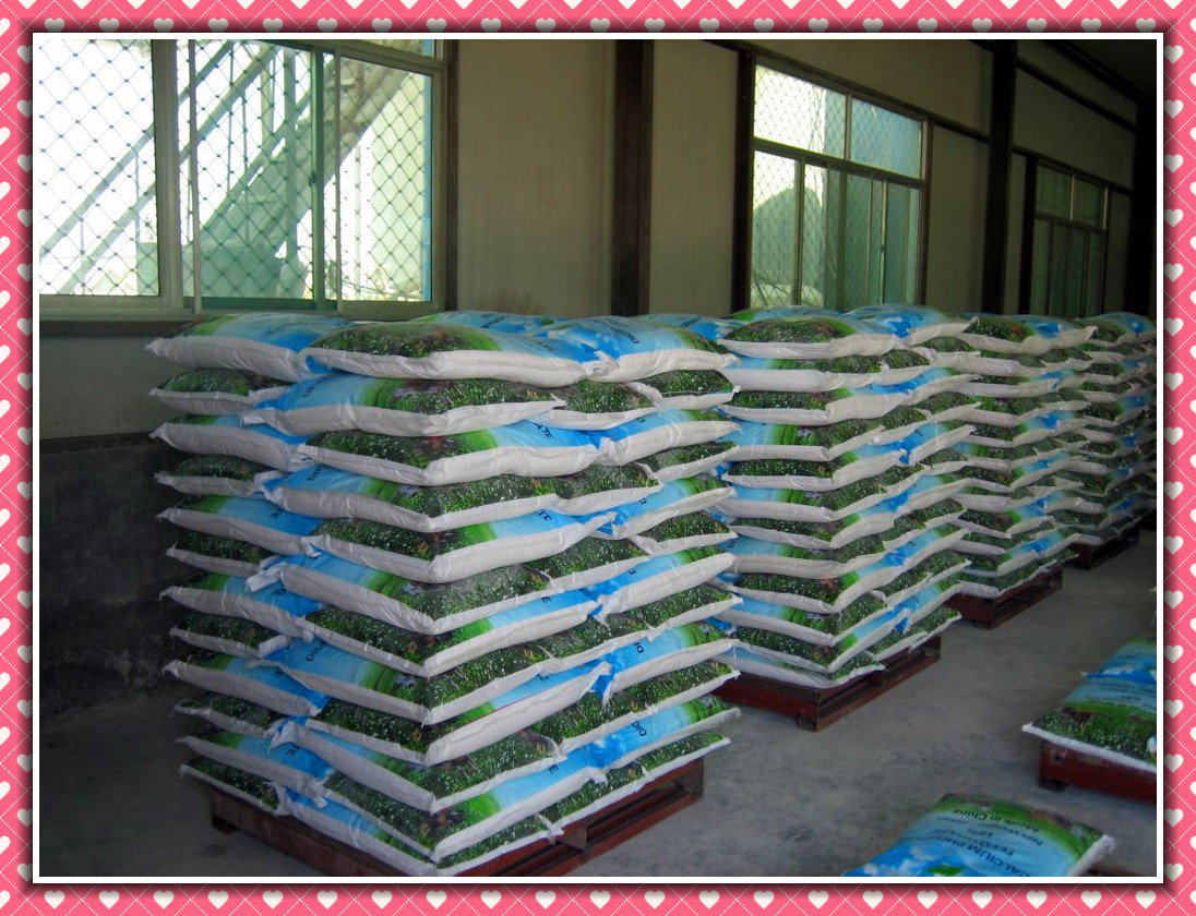 18% Dicalcium Phosphate Feed Additive Nutircorn