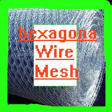 Hexagonal Wire Mesh