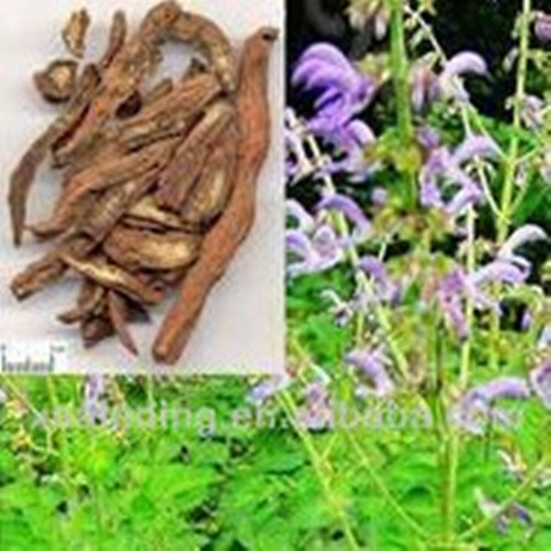 Manufacture Herbal Extract Matrine 98%/Sophocarpidine