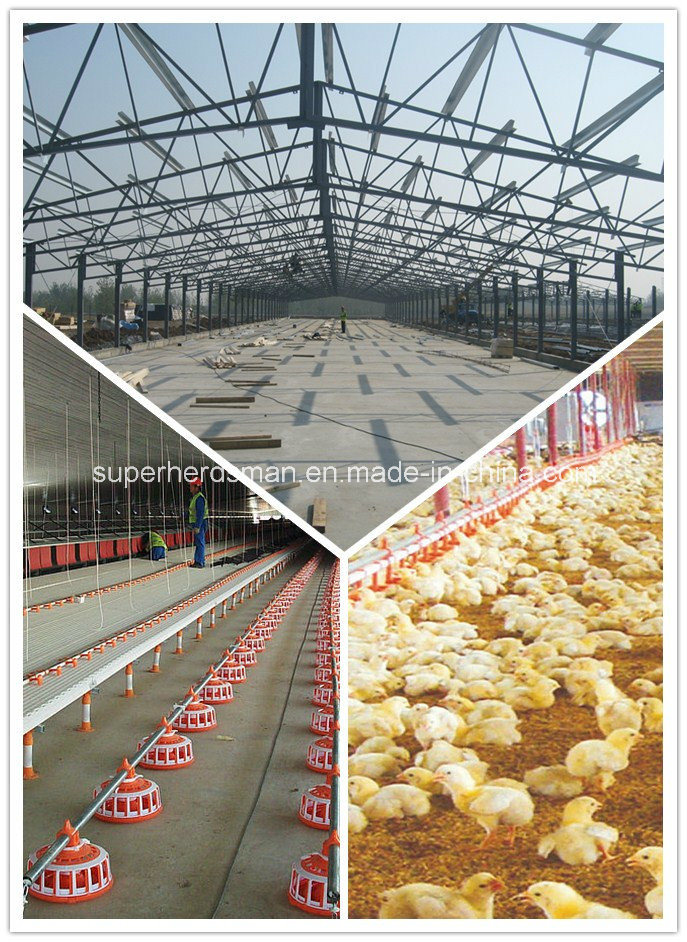 Prebabricated Steel Structure Designed Poultry Farm House