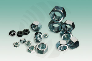 Hex Nut