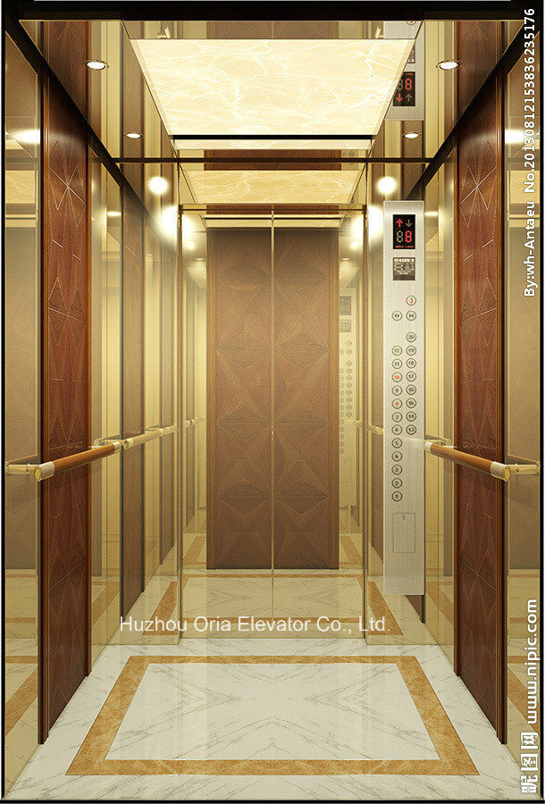 Villa Elevator (ORIA-V010)