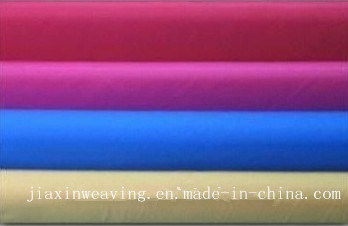 380t 20d Nylon Fabric for Down Garments