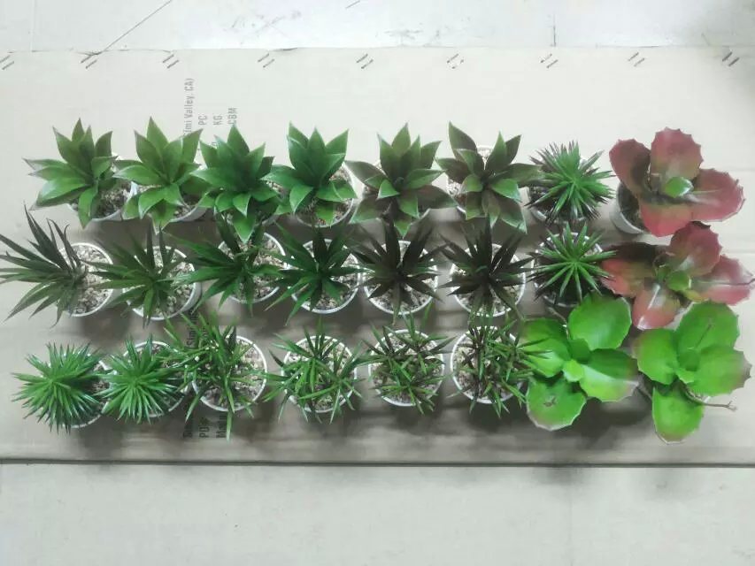 Artificial Plants and Flowers of Succulent Plant Gu-Jys-00033