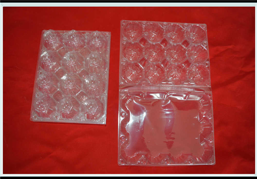 12 Pack Egg Plastic Tray