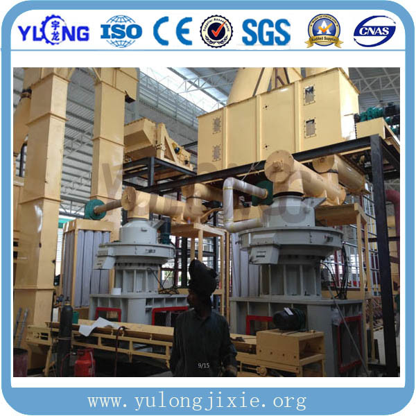 Yulong Brand Vertical Ring Die Biomass Wood Pellet Plant for Sale