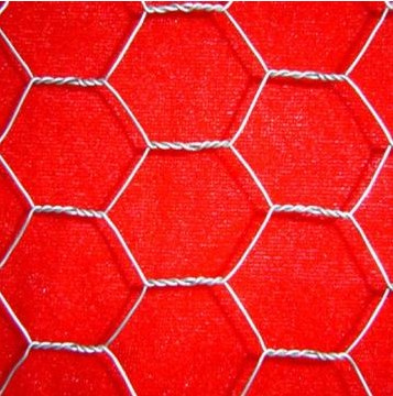 Hexagonal Wire Netting (DP-HWN1)