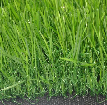 Artificial Grass