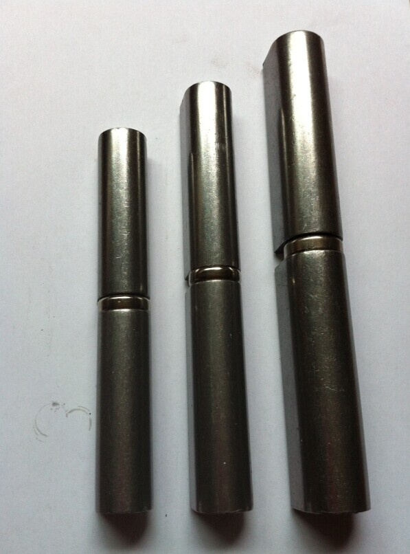 Weld on Hinge with Washer
