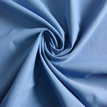 Nylon Taslan Dobby Fabric for Down Garments/Jacket