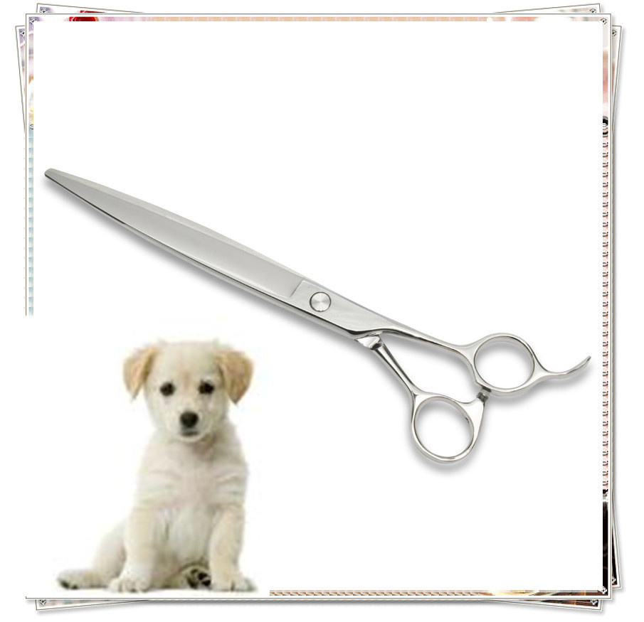 Fashion Pet Dog Grooming Scissor