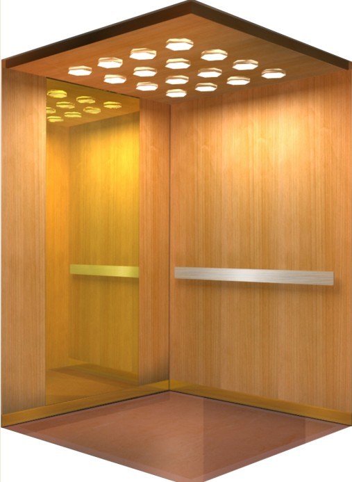 Special Wooden Finishes Enjoyable Elevator (CAR94)
