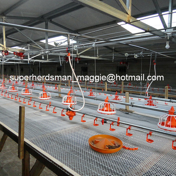 High Quality Automatic Poulty Feeder for Broiler