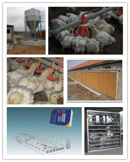 2015 Hot-Sale! Automatic Poultry Equipments/Poultry Farming Equipment/Chicken Poultry Equipment