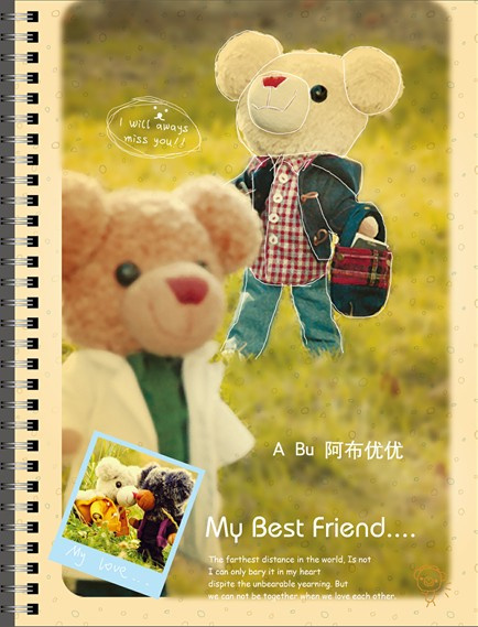 Nice Best Sell Notebook