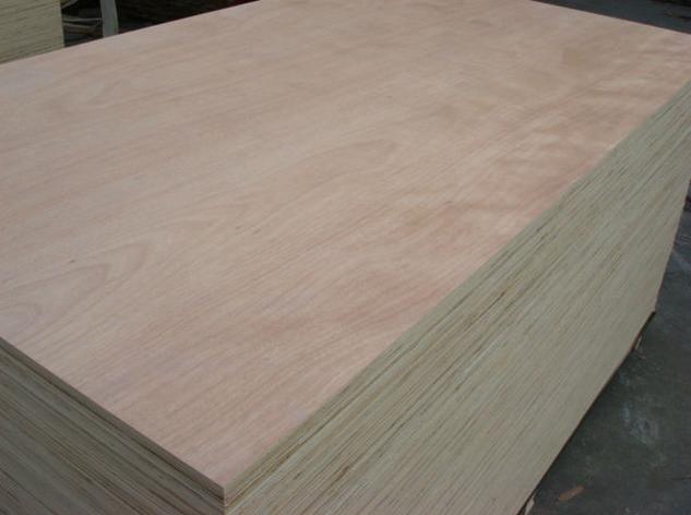 Furniture Plywood of Eucalyptus Hardwood Plywood