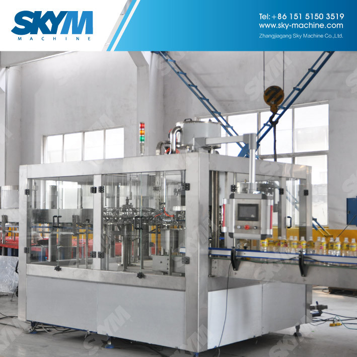 Complete Automatic Drinking Beverage Bottling Plant/Cola Bottling Production Line Machinery