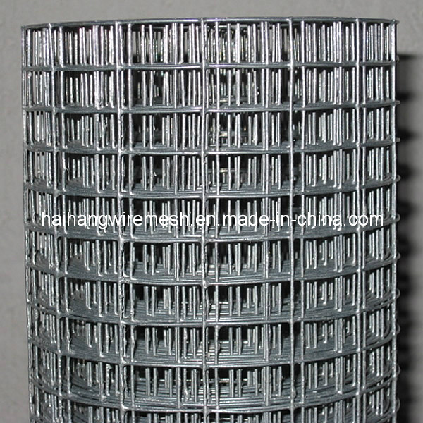 Construction Material/Galvanized Welded Wire Mesh