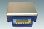 Electronic Precision Balance (JA25K-1) 