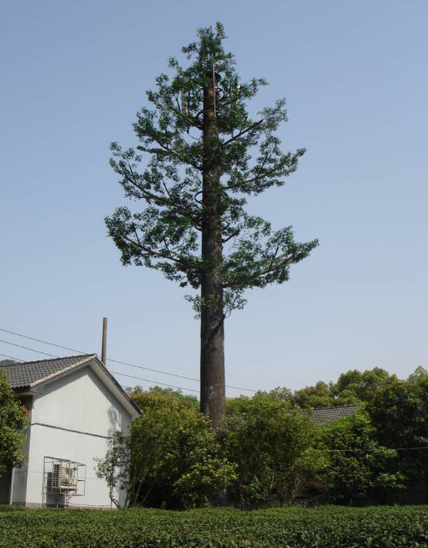 Bionic Telecommunication Tree Tower/Camouflaged Palm Tree Telecommunication Pole
