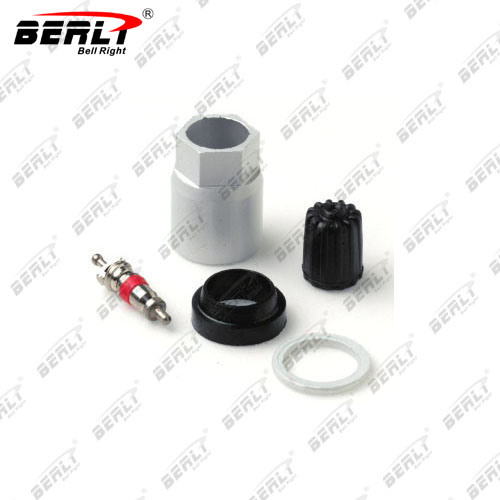 Bellright TPMS Accessories with Different Type