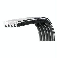 Poly V Belt