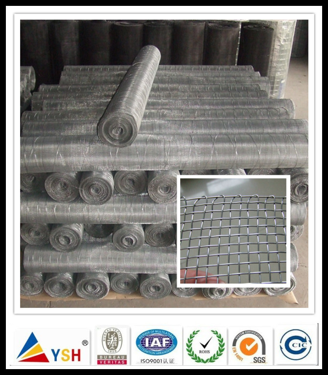 Galvanized Square Wire Mesh (ISO9001: 2008quality)
