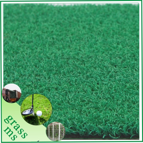 PP Golf Sport Synthetic Turf (SGQD-C10R31PM)
