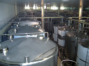 Single-Layer Storage Tank