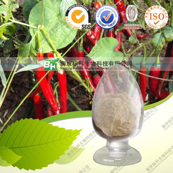 Natural Capsaicin / Capsaicinoids / Pepper Extract / Chili Extract