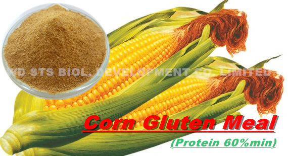 Corn Gluten Meal for Animal Feed