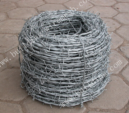 Electric/Hot Dipped Galvanized Barbed Wire