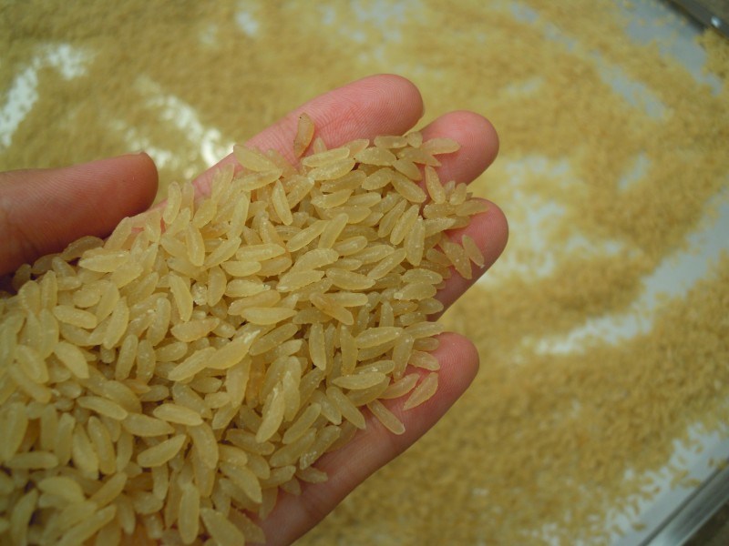 Artifical Rice/Instant Rice/Nutritional Rice Machinery