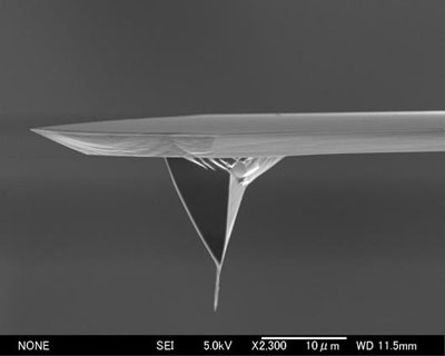Carbon Nanotube Based Afm Probe/Tip