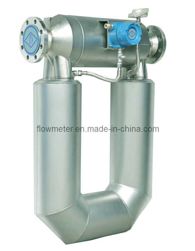 Mass Flow Meter-P100 for Measuring Liquids (Water, Fuel, Rude Oil, Gasoline, Diesel, Solvent, Slurry) and Gas