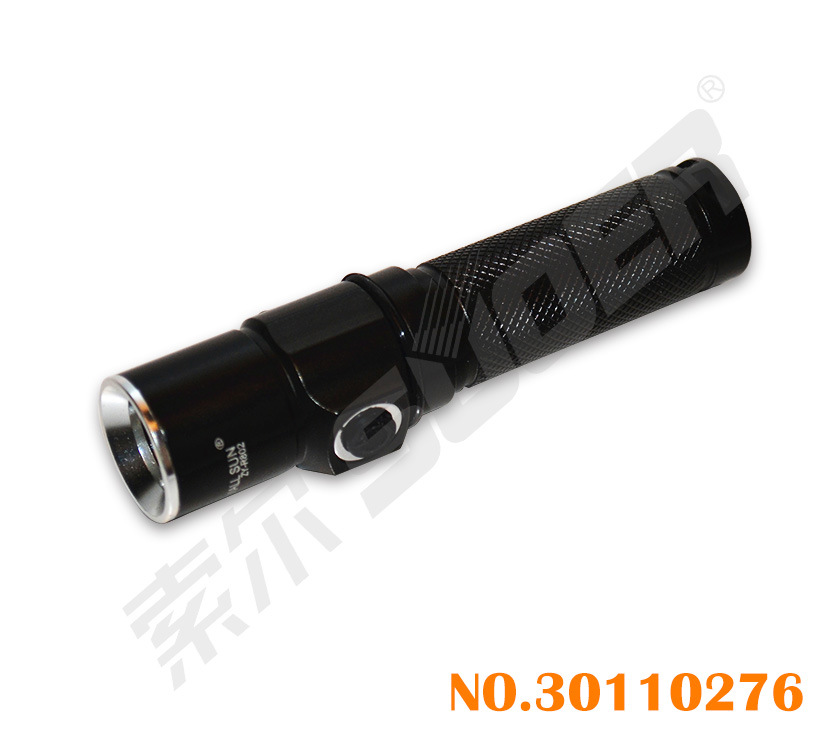 Mini LED Bright Light Flashlight Power Style Torch (ZY-R802-Mini)