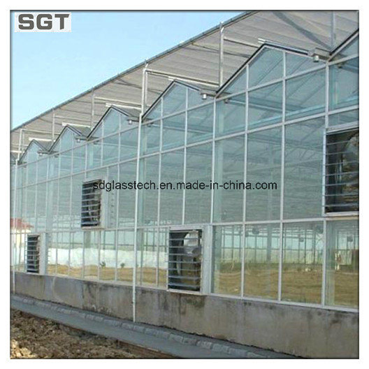 Toughened Glass Green House Glass