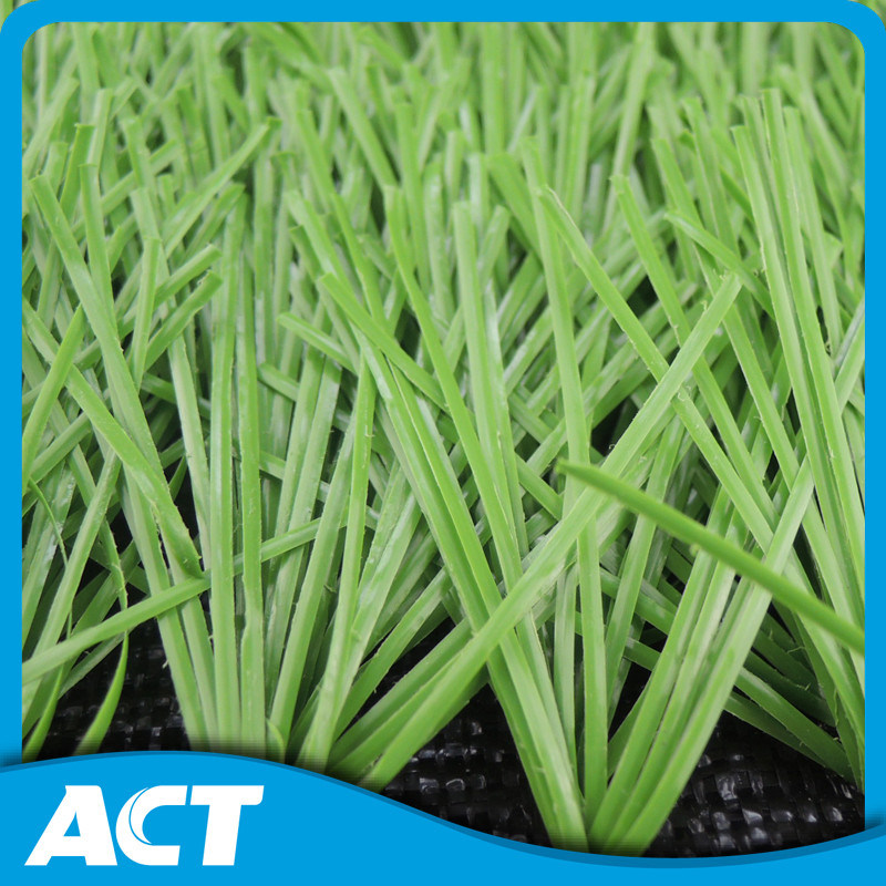 Guangzhou Artificial Grass, Sports Grass (Y50)